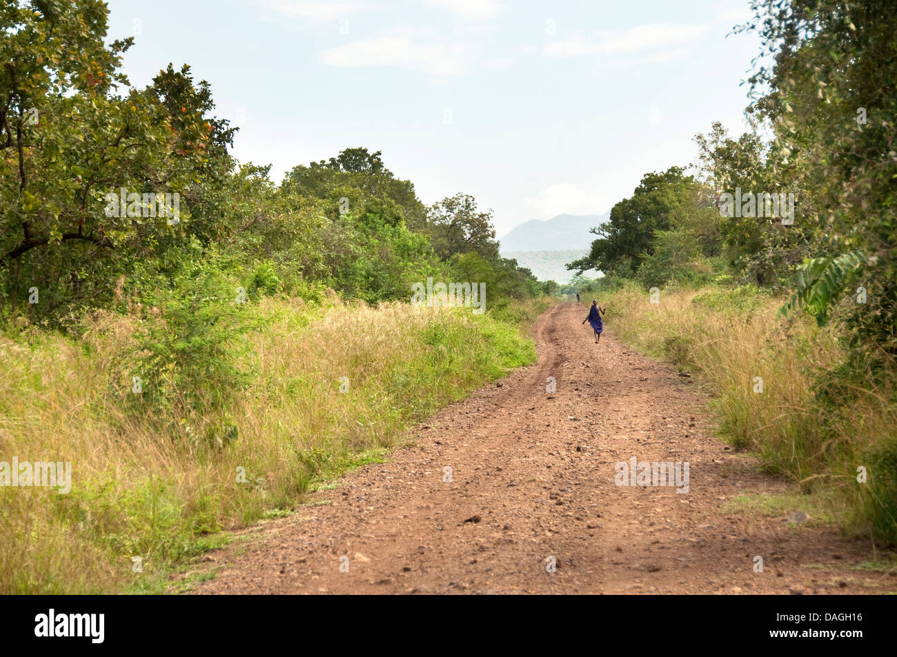 A Suri (Surma) shepherd on a track in the bush, Ethiopia Stock Photo
