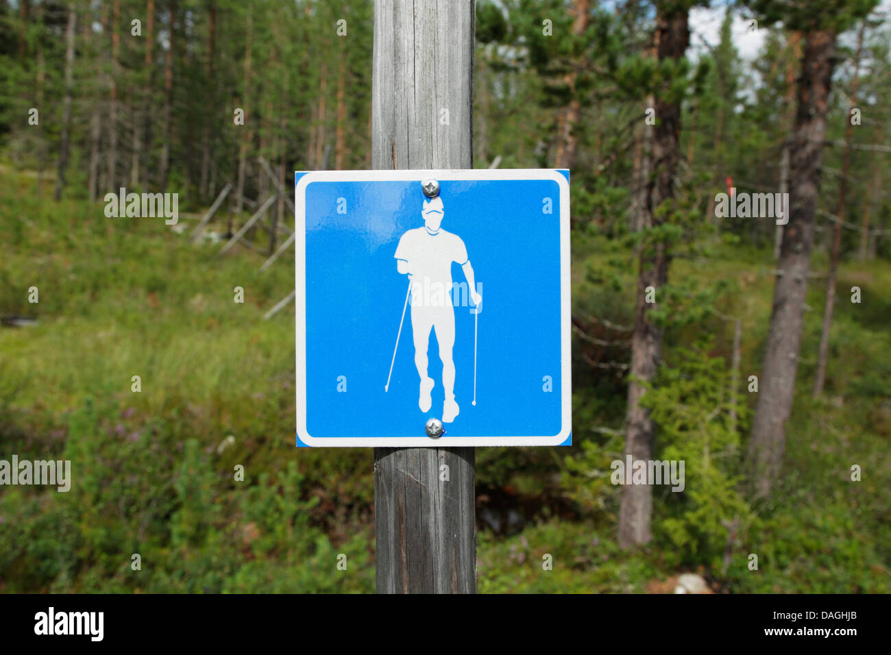 Square blue and white telemark cross country power walking route sign, Finland Stock Photo