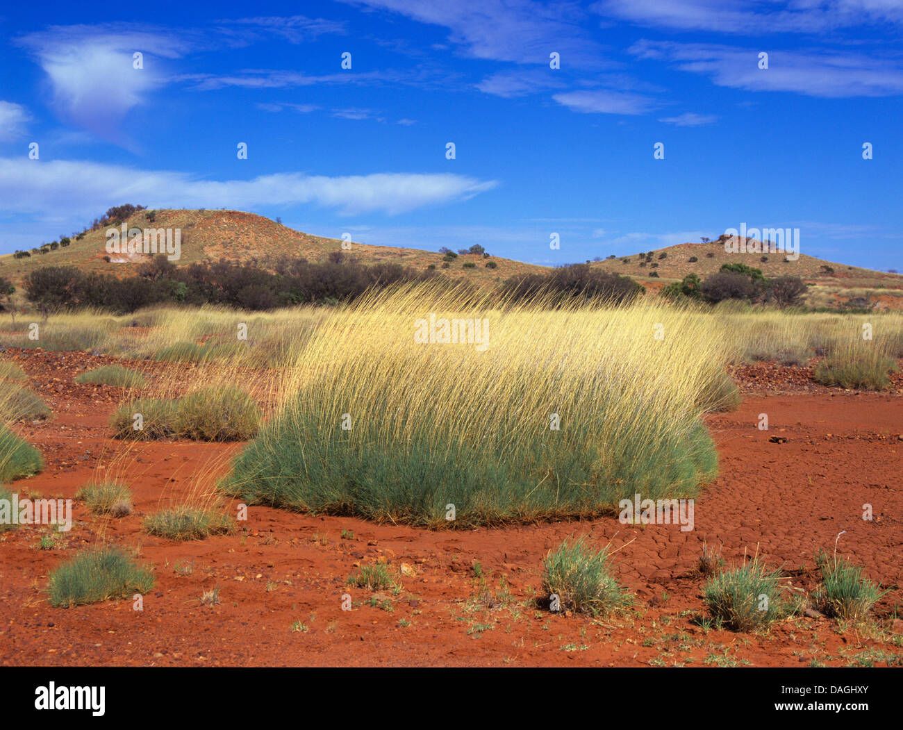 landscape in Australia, Outback, Australia Stock Photo - Alamy