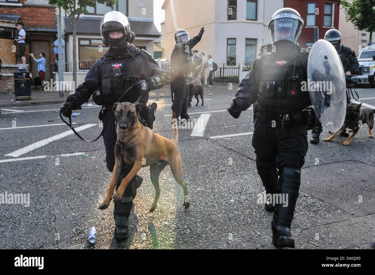 Belfast, Northern Ireland, 12th July 2013 - A police attack dog is brought into a riot situation Credit:  Stephen Barnes/Alamy Live News Stock Photo