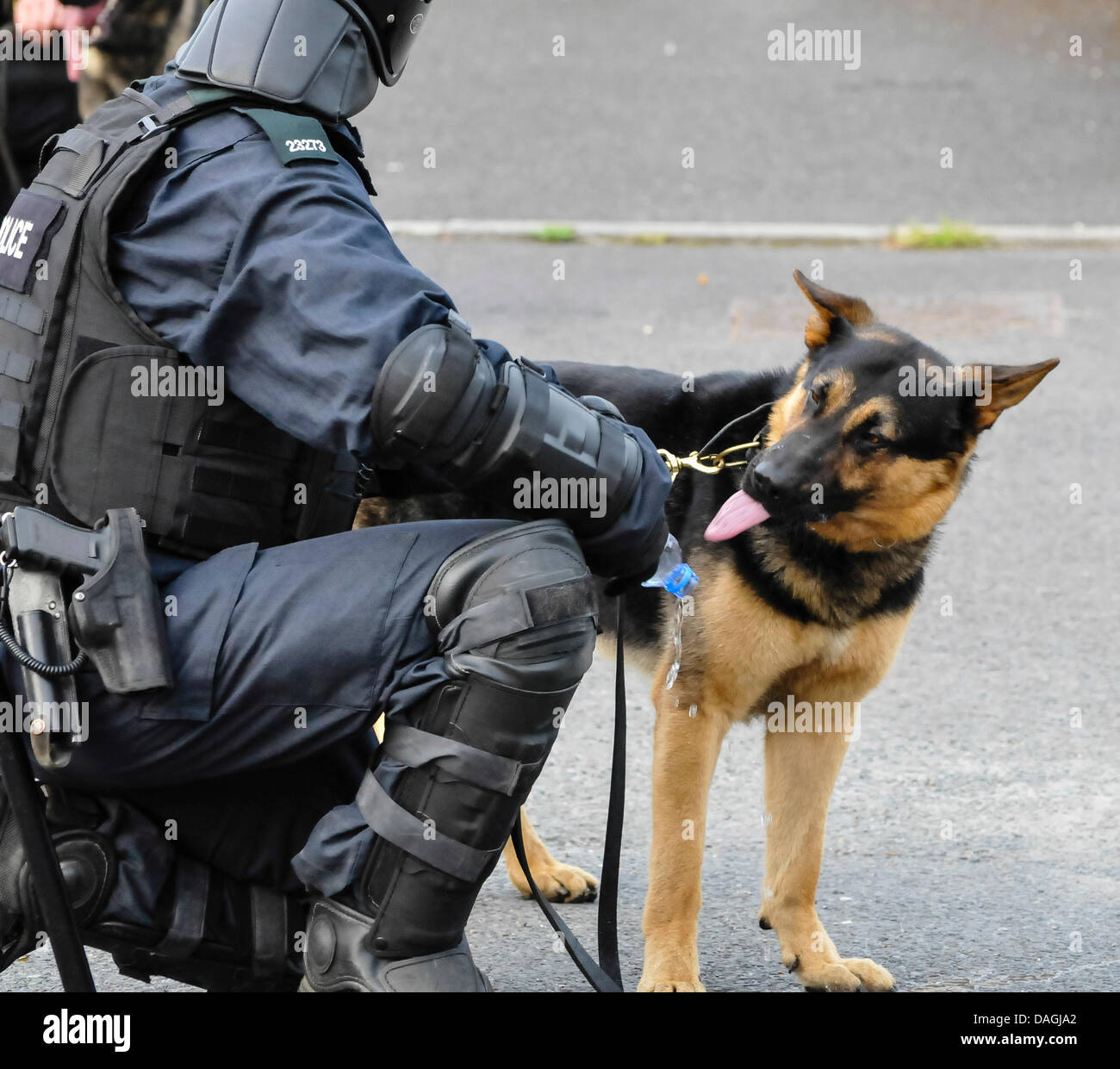 Belfast, Northern Ireland, 12th July 2013 - A Police dog is given water from a plastic bottle during a period of calm at a riot Credit:  Stephen Barnes/Alamy Live News Stock Photo