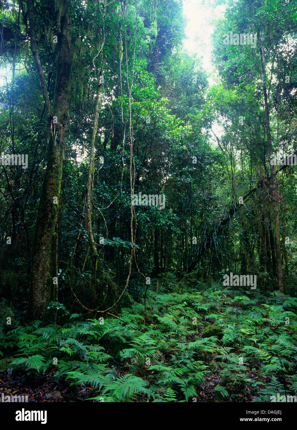 Australia w layer australia hi-res stock photography and images - Alamy