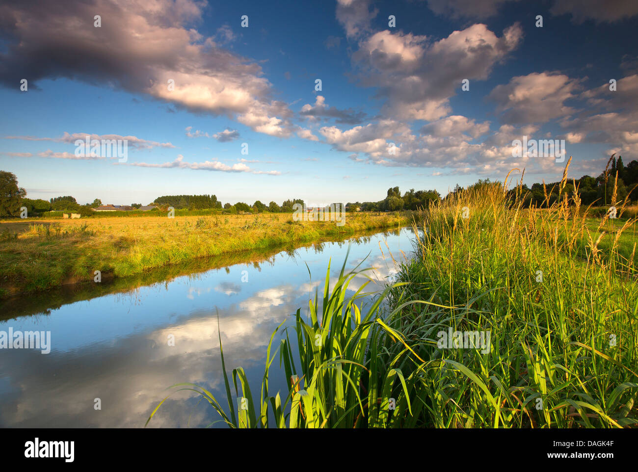 river Zwalm, Belgium, Vlaamse Ardennen Stock Photo