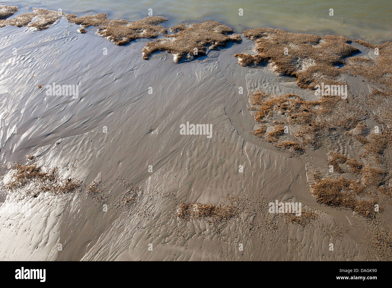 mudflats during low tide at North Sea, Belgium Stock Photo Alamy