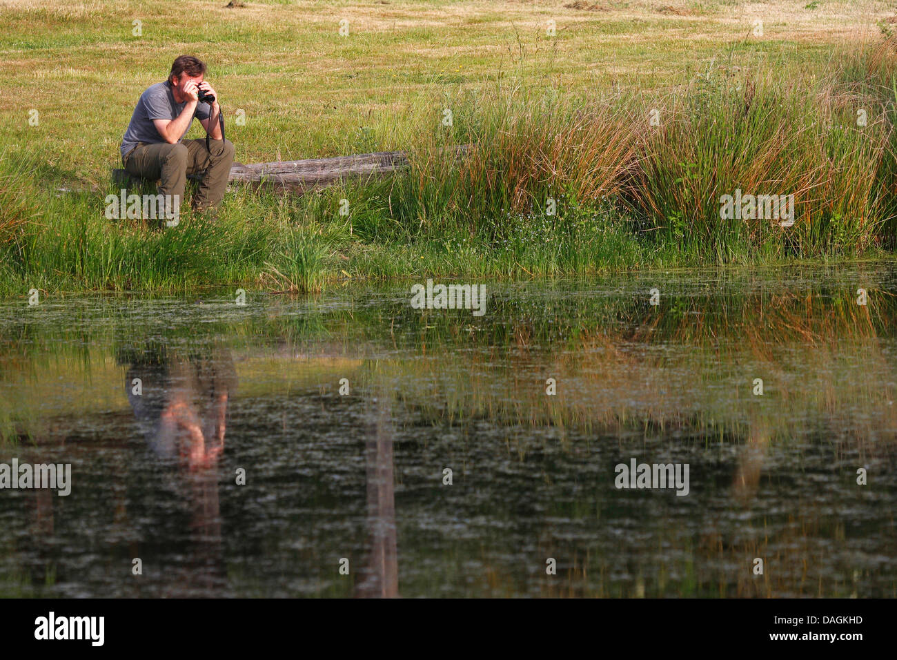 birdwatcher on the lakefront, Belgium Stock Photo