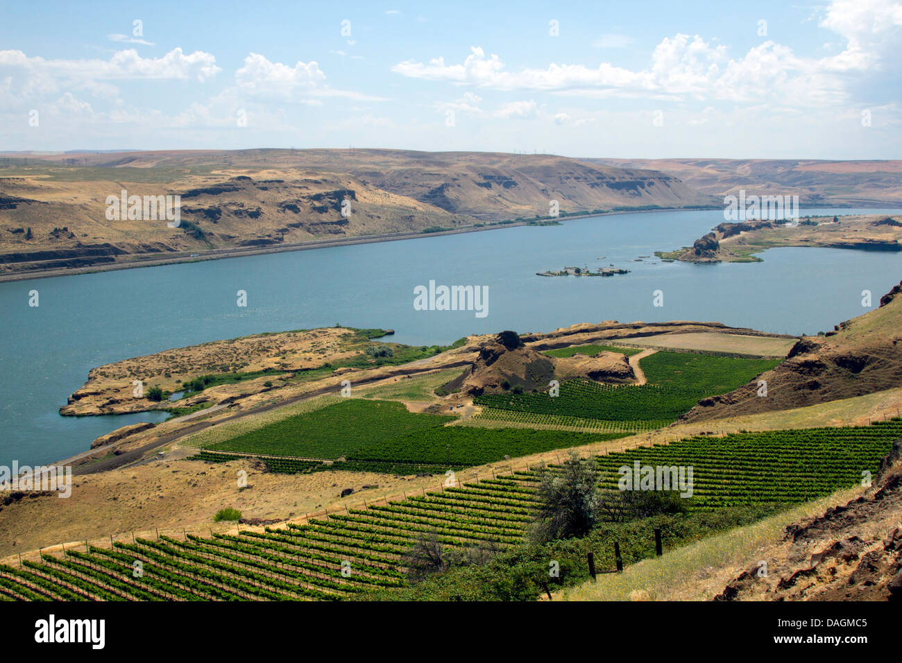 Columbia River Gorge in Washington State with a view of Maryhill Vineyards Stock Photo