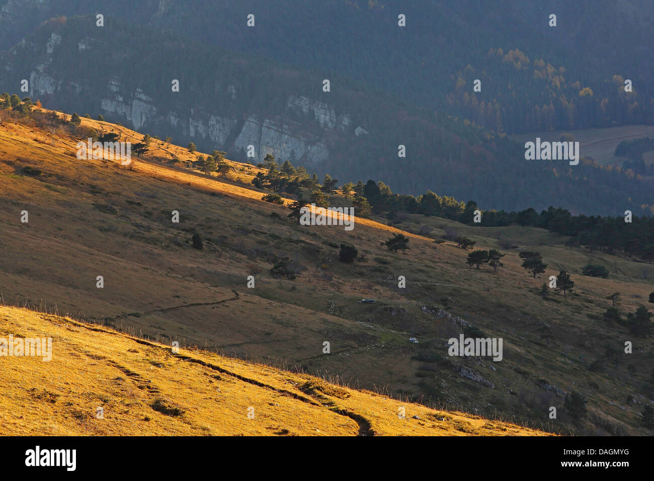 mountain slope in autumn, Plateaux du Vercors, France, Les Hauts, Vercors Stock Photo