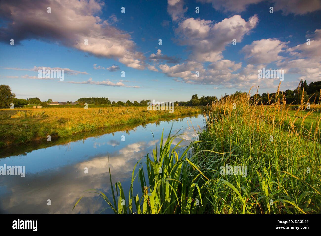 De Zwalm river scenery, Belgium, Vlaamse Ardennen Stock Photo