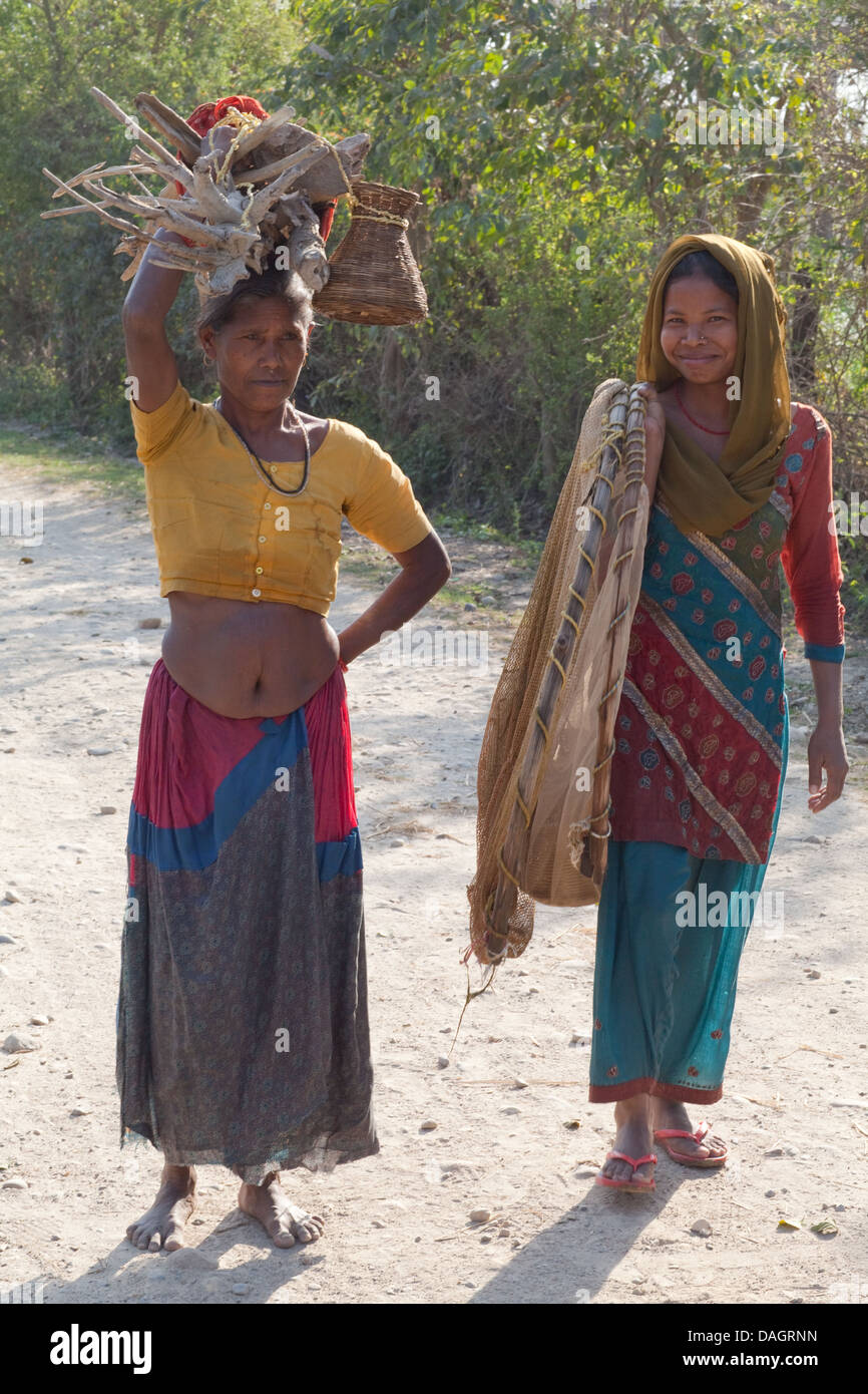 Tharu Women, Bardia, Nepal. Carrying fallen wood to be used as fuel, and woven basket containing freshly caught fish. Stock Photo
