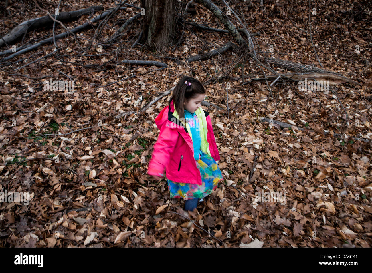 Child walks in park hi-res stock photography and images - Alamy