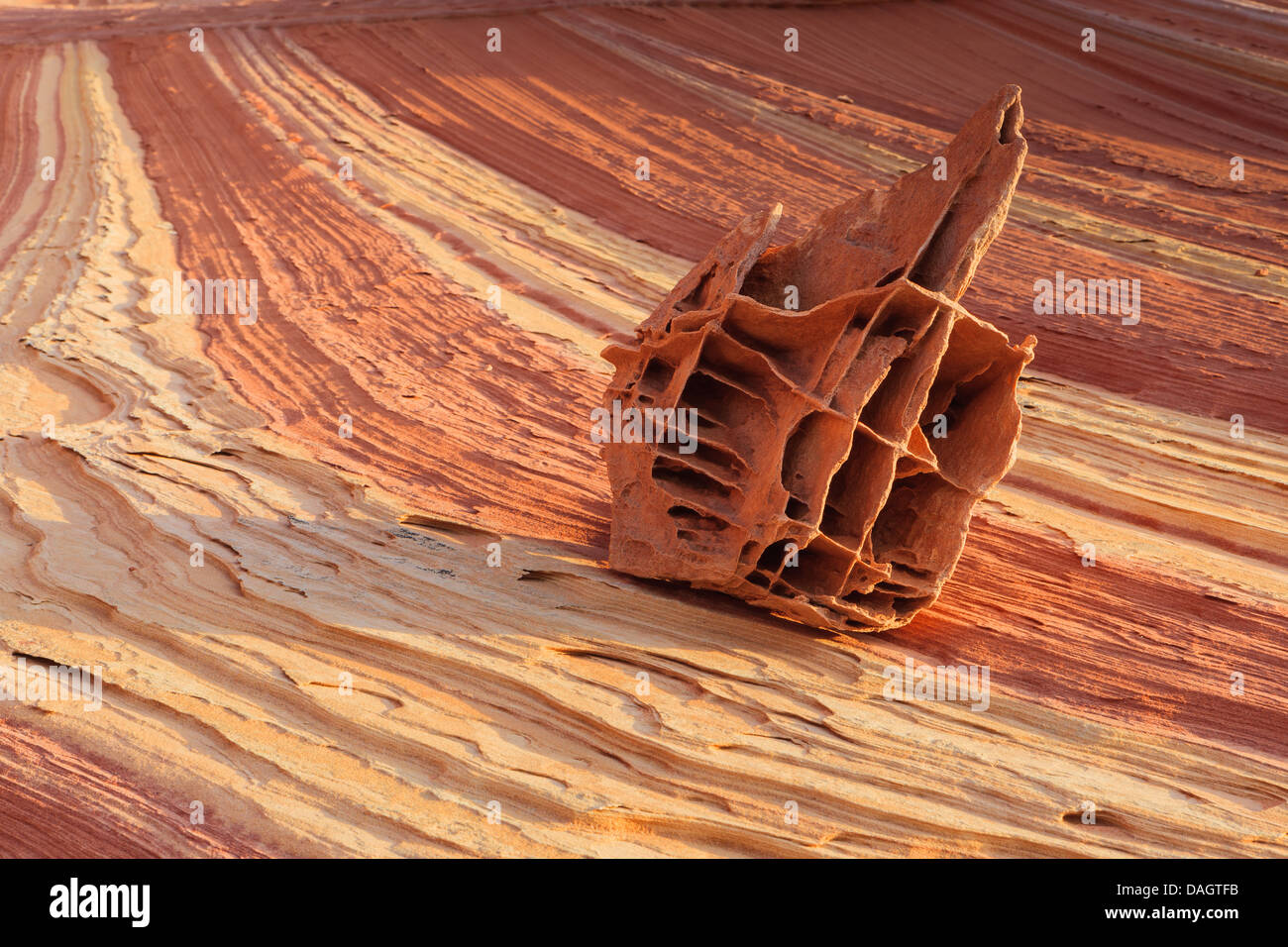 Rock formations in the North Coyote Buttes, part of the Vermilion Cliffs National Monument. Also known as The Boneyard Stock Photo