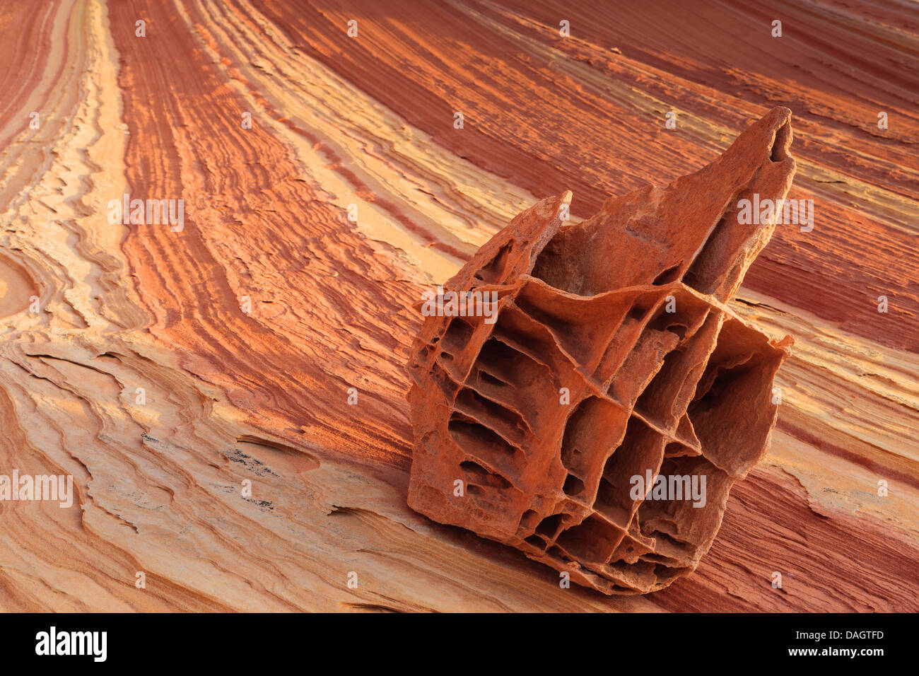 Rock formations in the North Coyote Buttes, part of the Vermilion Cliffs National Monument. Also known as The Boneyard Stock Photo