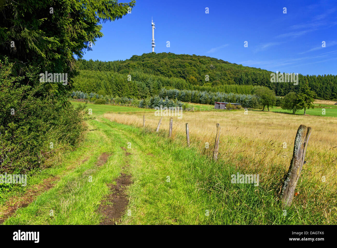 Hochkelberg and radio mast, Germany, Reinland-Pfalz, Hohe Eifel Stock Photo