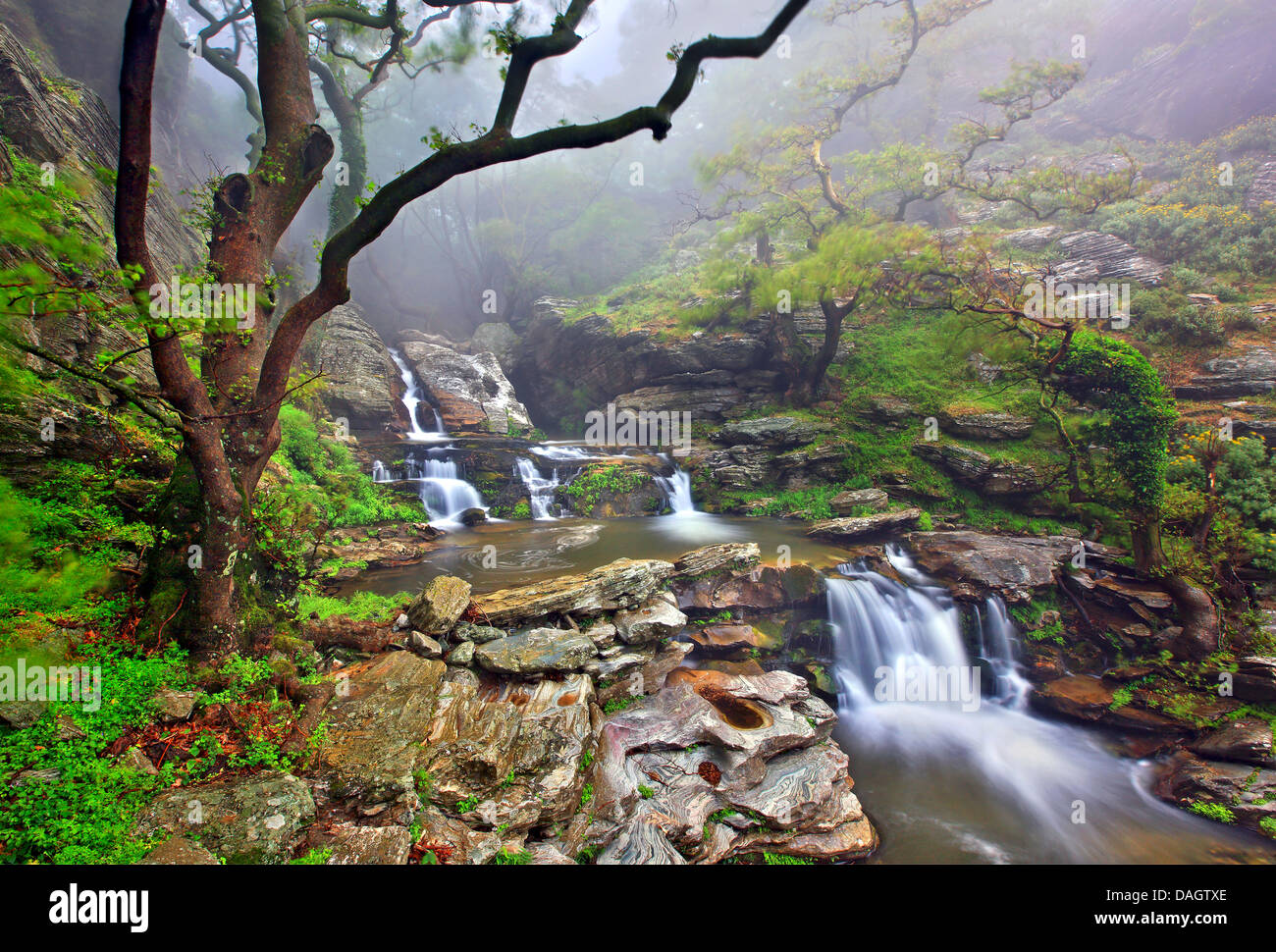 Waterfalls in Dimosari canyon, South Evia island, Central Greece. Stock Photo