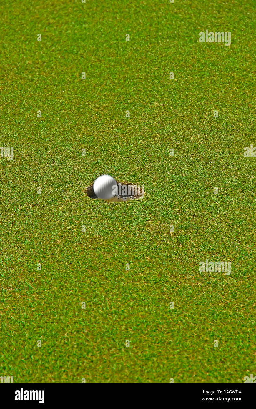 Moving golf ball about to drop in hole Stock Photo Alamy
