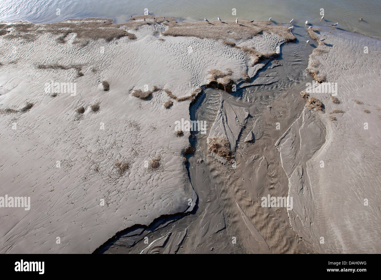 mudflats during low tide, Belgium, Nieuwpoort Stock Photo