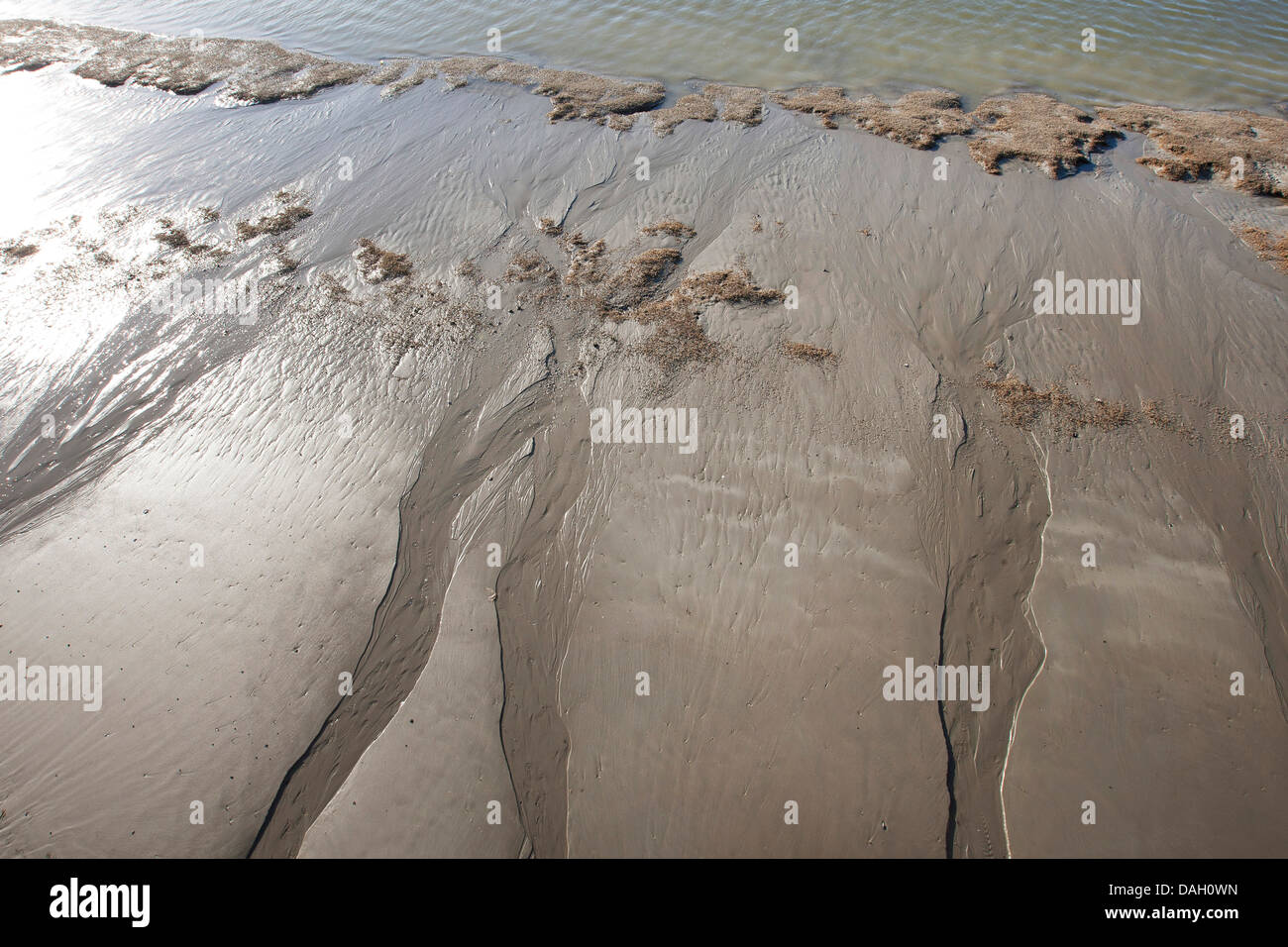 mudflats during low tide, Belgium, Nieuwpoort Stock Photo