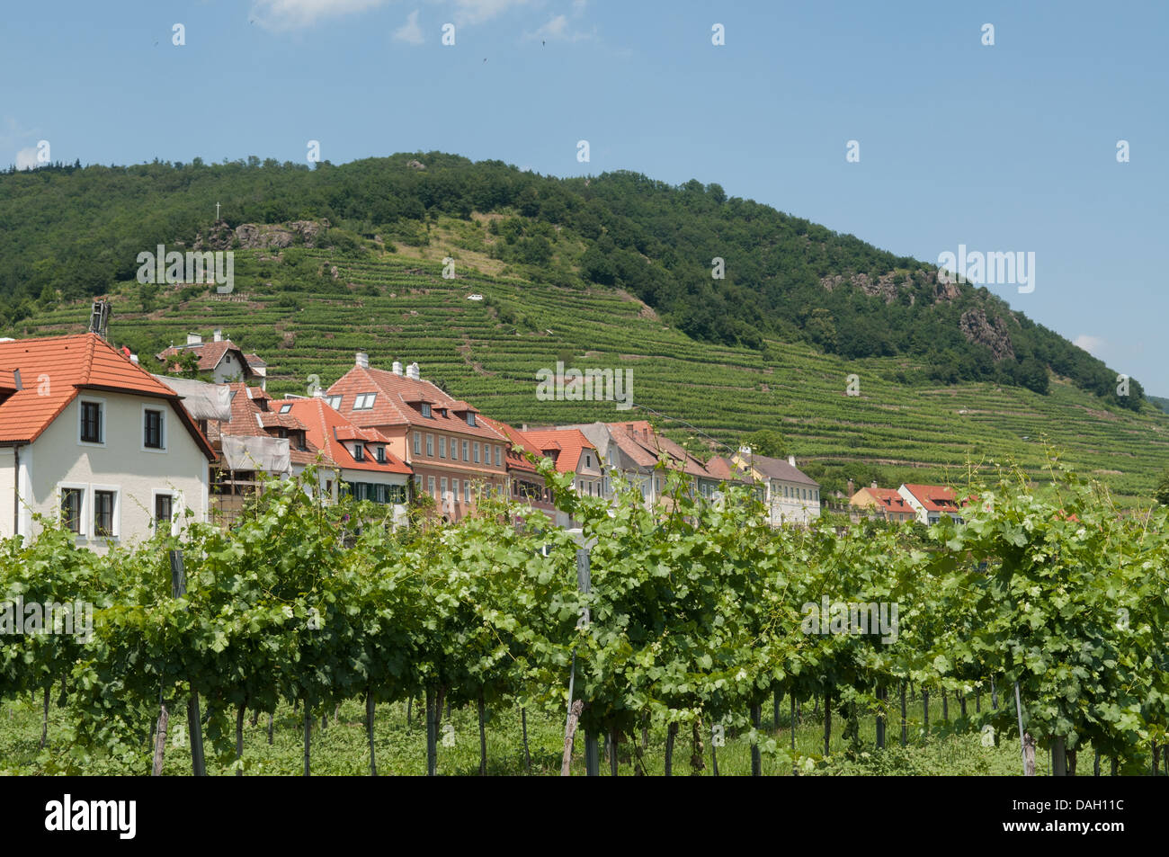 Weissenkirchen in der Wachau in the Danube valley, Lower Austria. Stock Photo