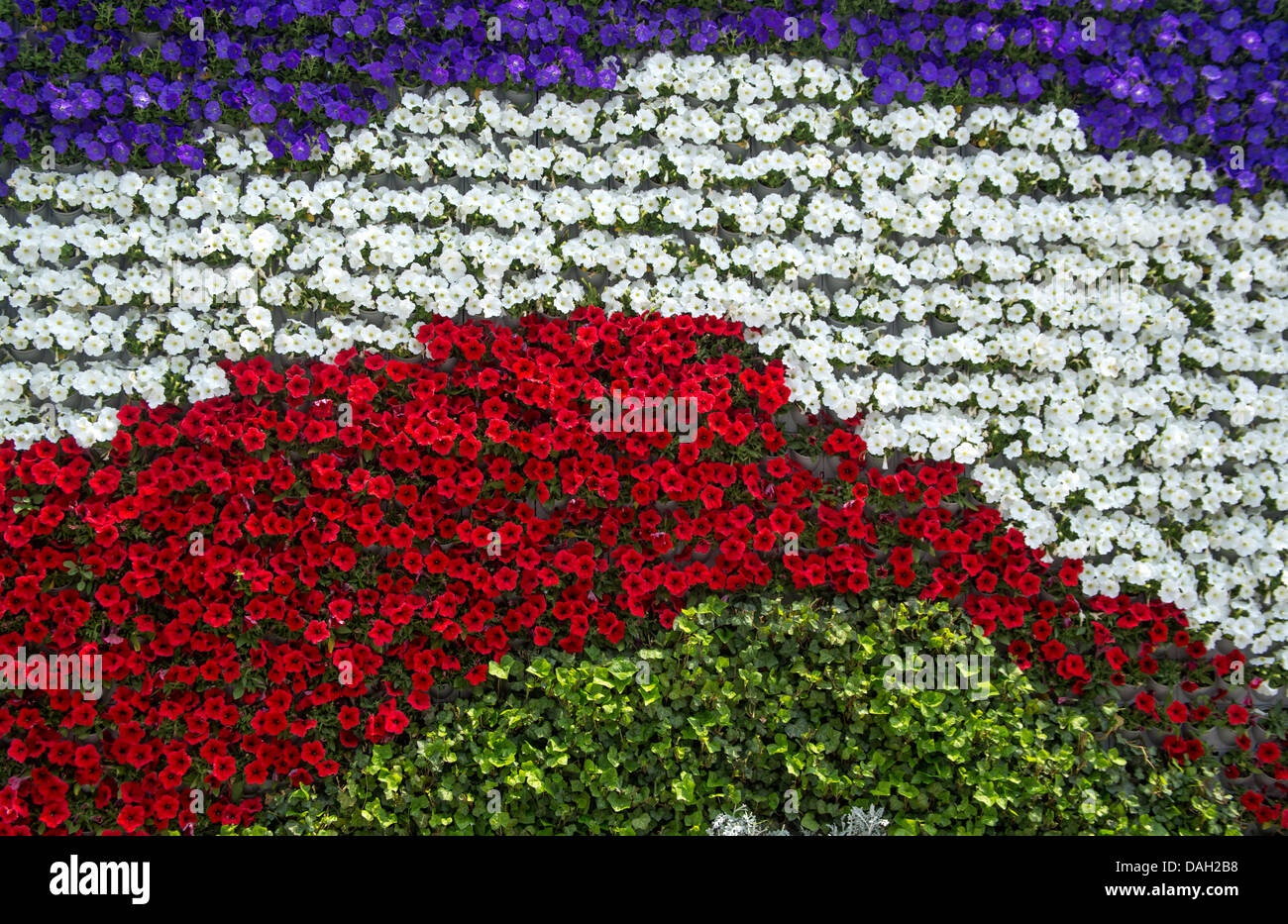 The Flower Wall on the Bund in Shanghai in China Stock Photo Alamy