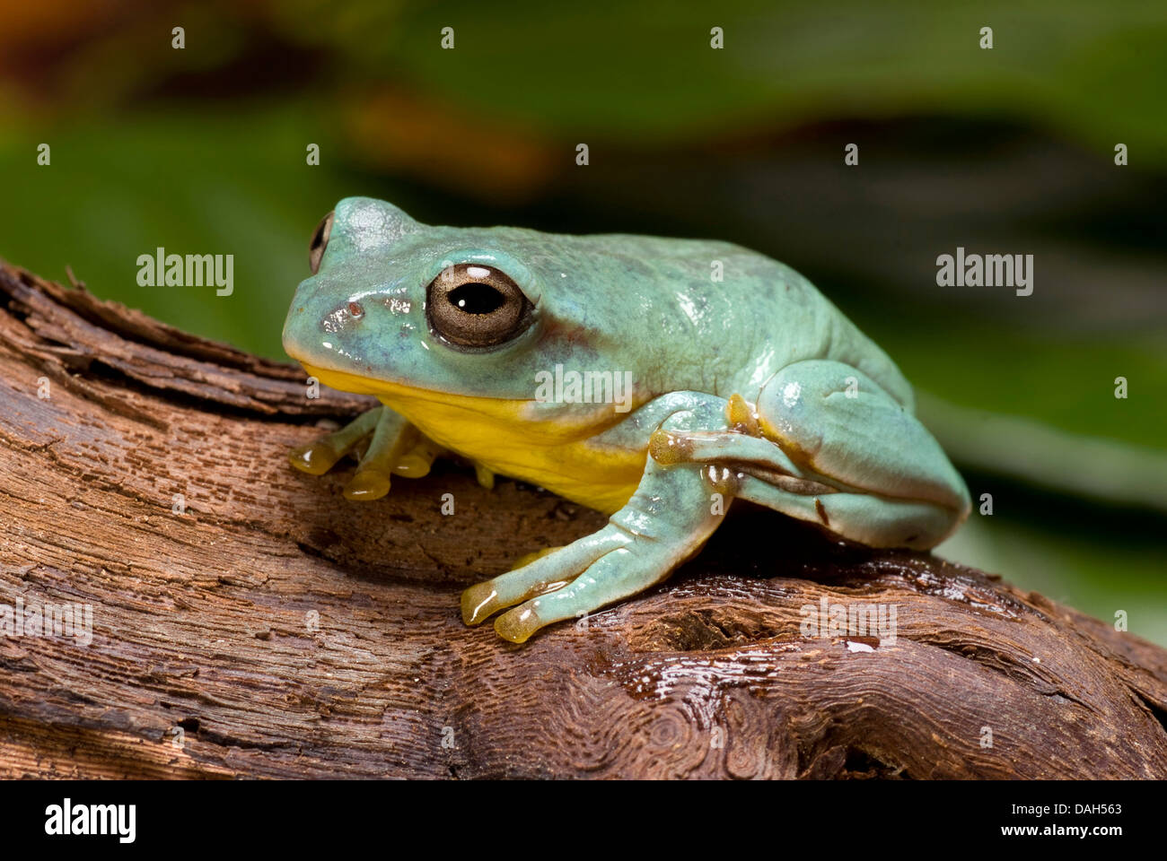 Mast va uxlayotgan onalar porno Qirgiz jinsiy aloqa video