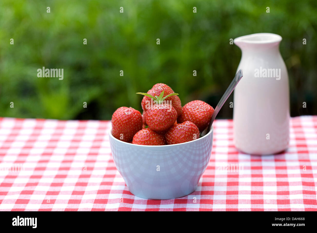 Bowl of freshly picked strawberries. Stock Photo