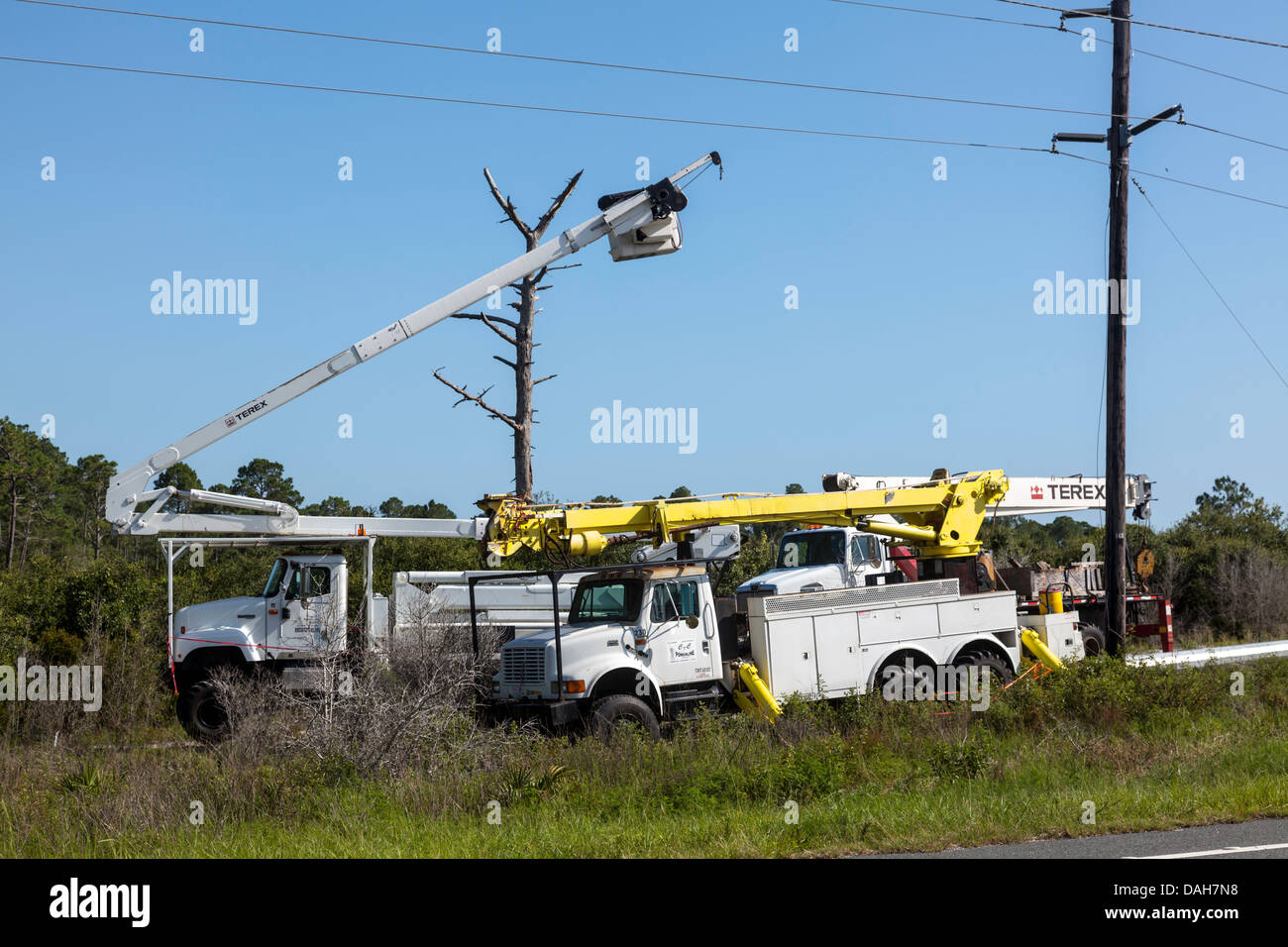 Used bucket truck, digger derrick and Terex truck-mounted crane in the background. Stock Photo