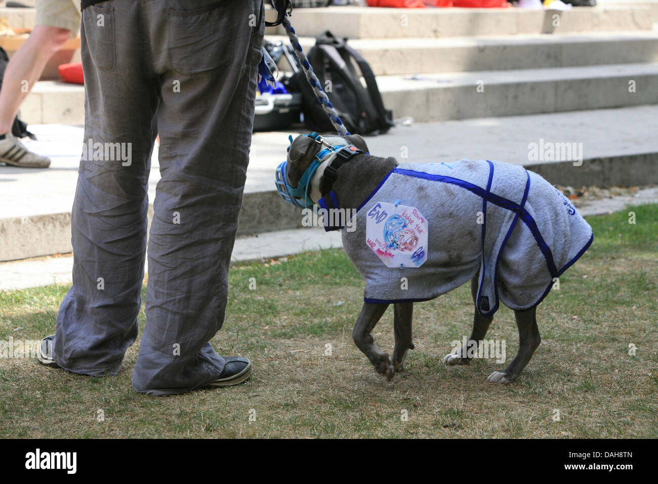 London, UK. 13th July, 2013. Anti BSL ('Breed Specific Legislation) protest outside Parliament  Credit:  Mario Mitsis / Alamy Live News Stock Photo