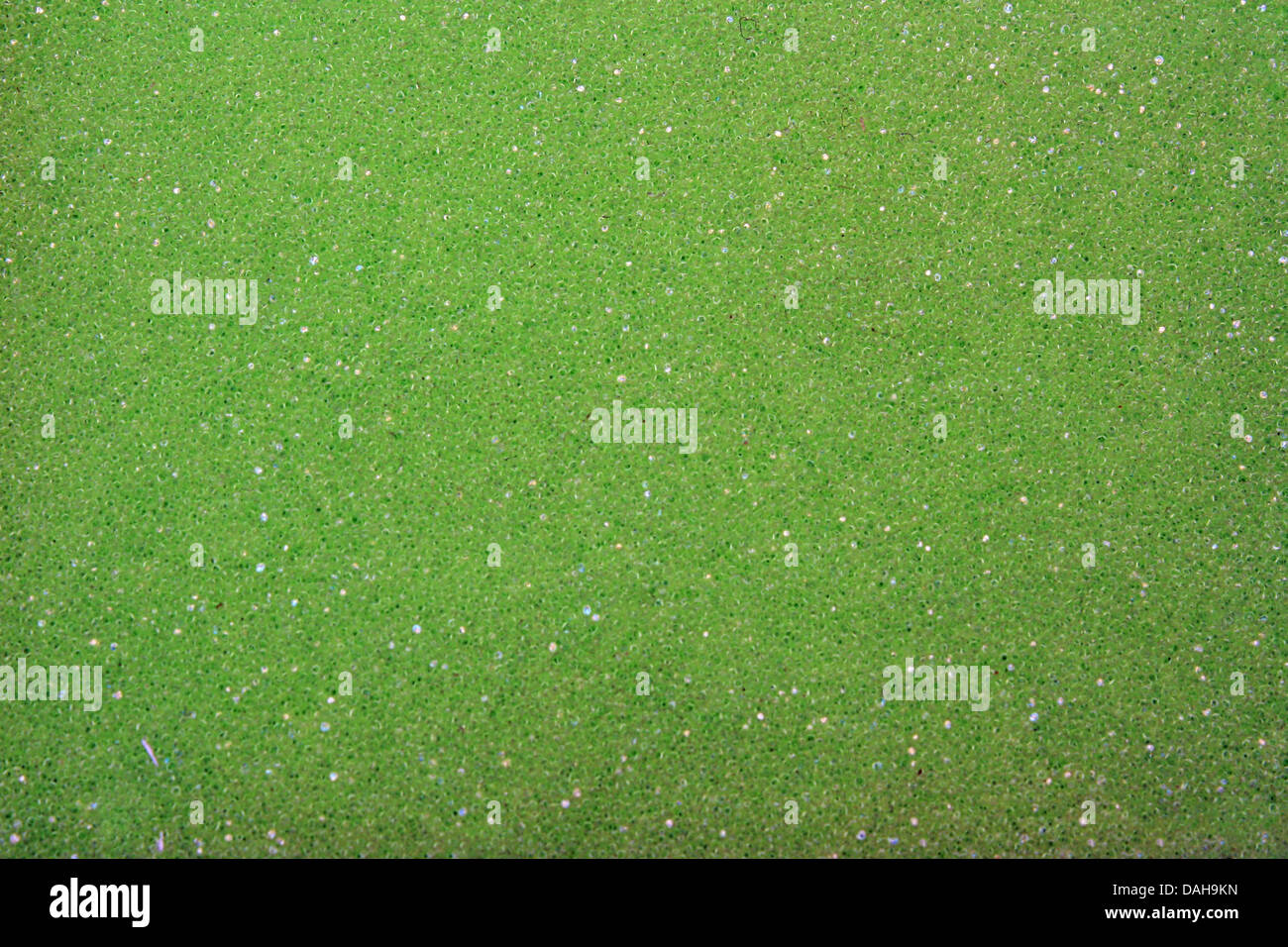 Solid bright green background hi-res stock photography and images - Alamy