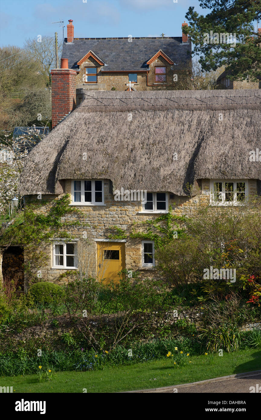 Traditional thatched cottage. Powerstock village, near Bridport, Dorset