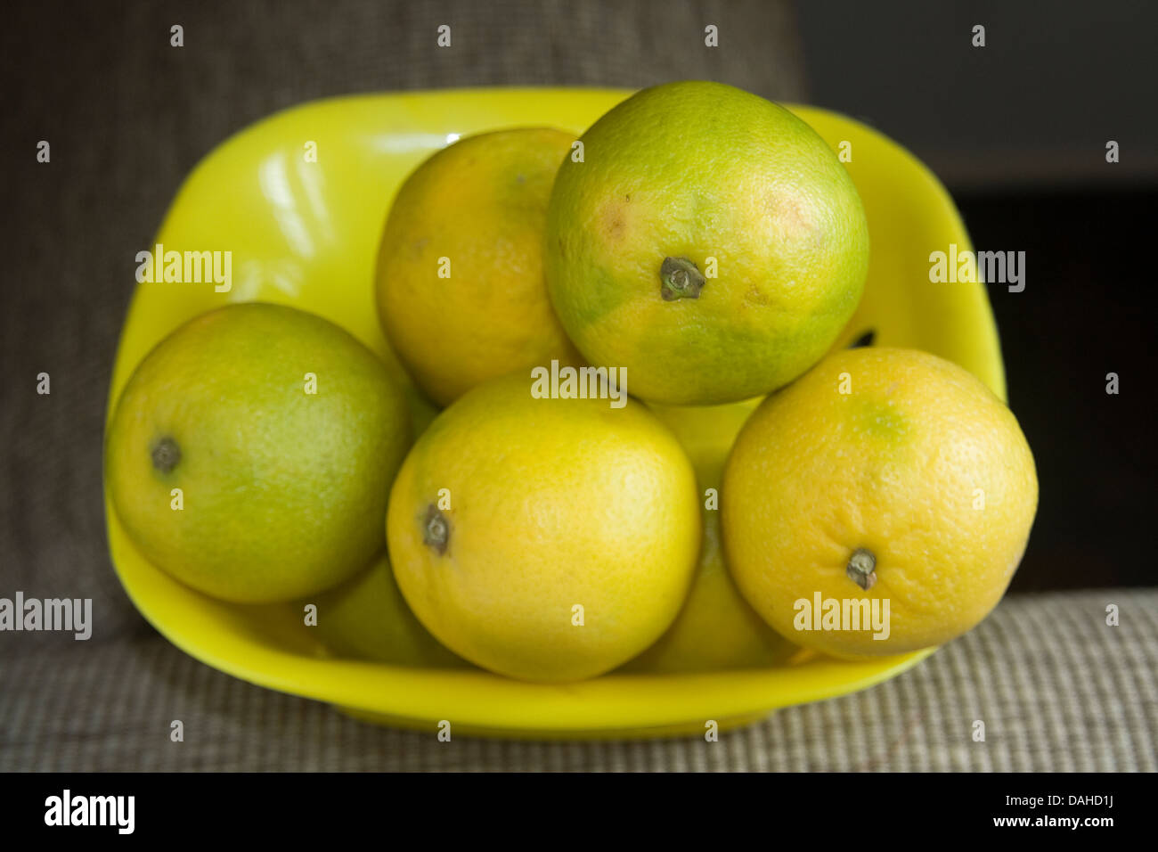 Yellow and greenish sweet lemons placed in yellow plastic tray Stock Photo