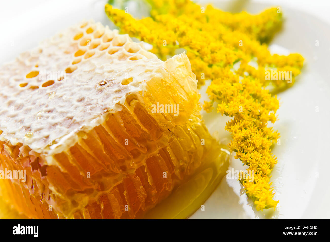 sweet with honey and yellow flower Stock Photo Alamy