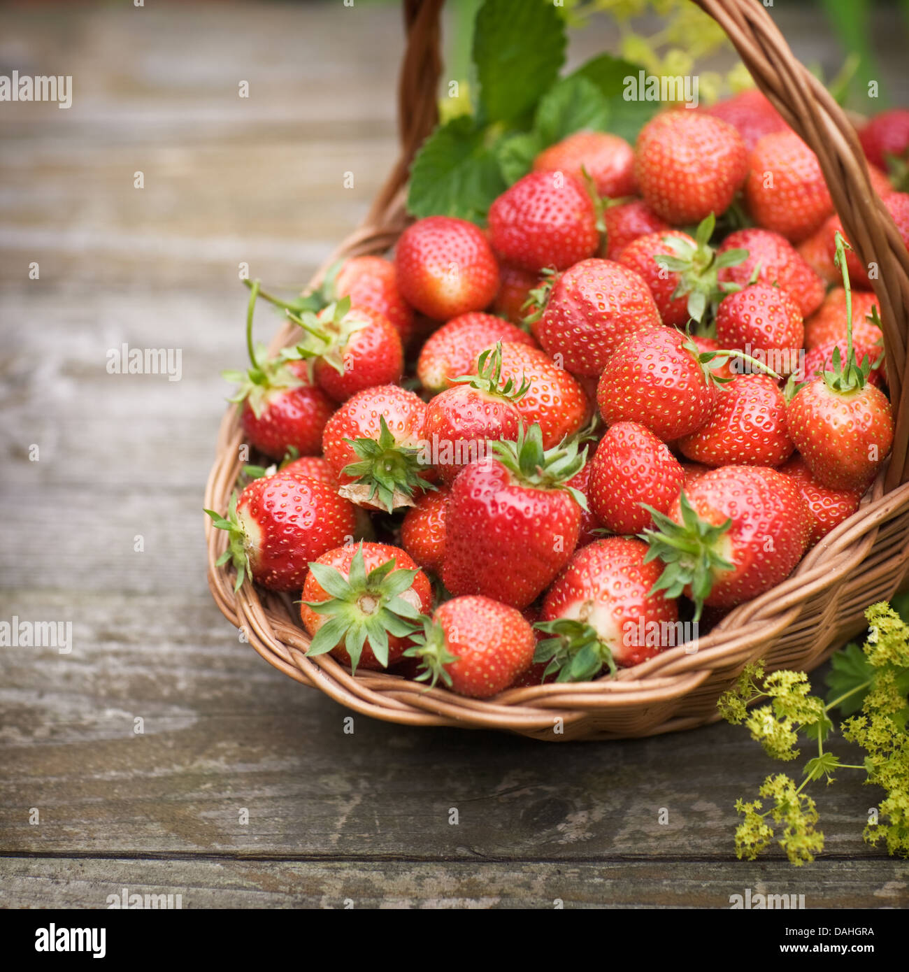Fresh strawberries in a basket on old wooden table, selective focus ...