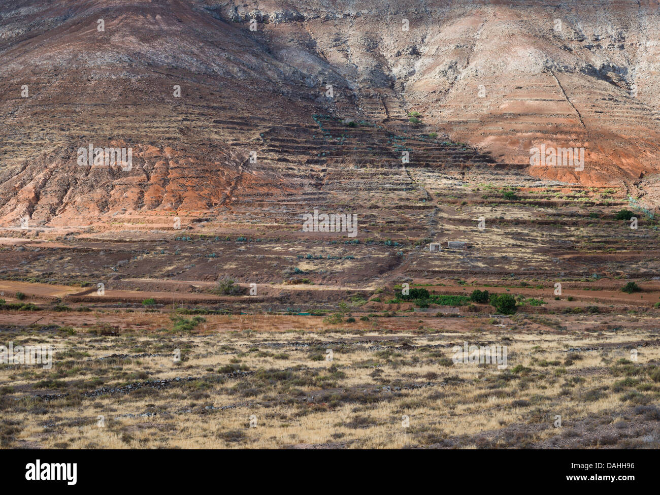 Agricultural terraces and debris fans at Vallebron, Fuerteventura, Canary Islands, Spain Stock Photo