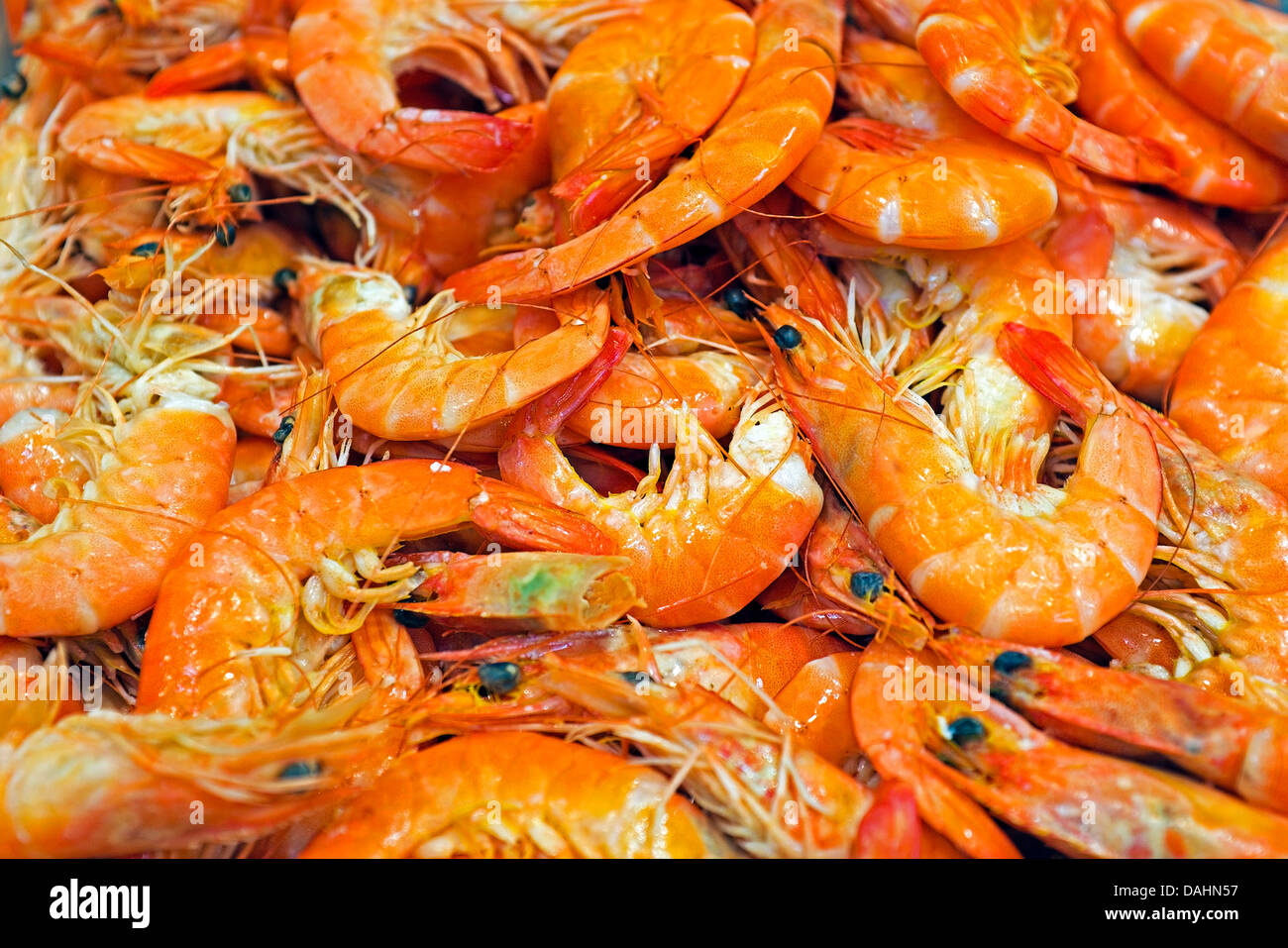 Shrimps in the fish market Stock Photo - Alamy