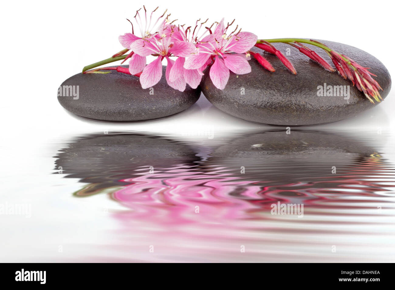 Hot spa stones on hi-res stock photography and images - Alamy