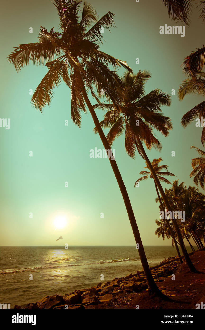 Beautiful sunset at tropical beach with palm trees. Ocean landscape in vintage style. India Stock Photo
