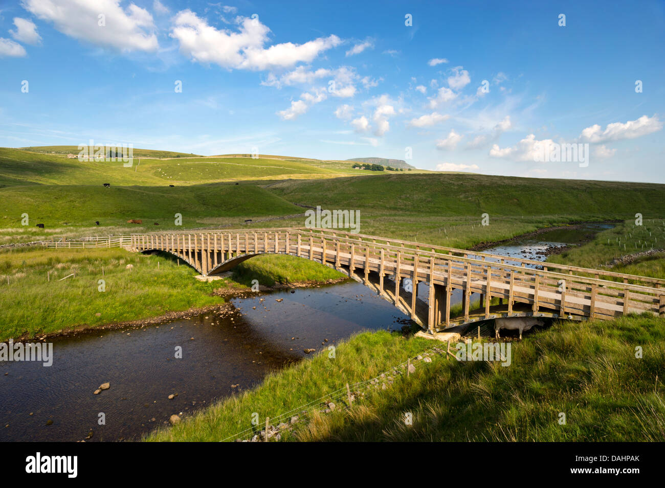 The award winning Far Moor Bridge over the River Ribble, , Selside, Ribblesdale, on The Pennine Bridleway National Trail, UK Stock Photo