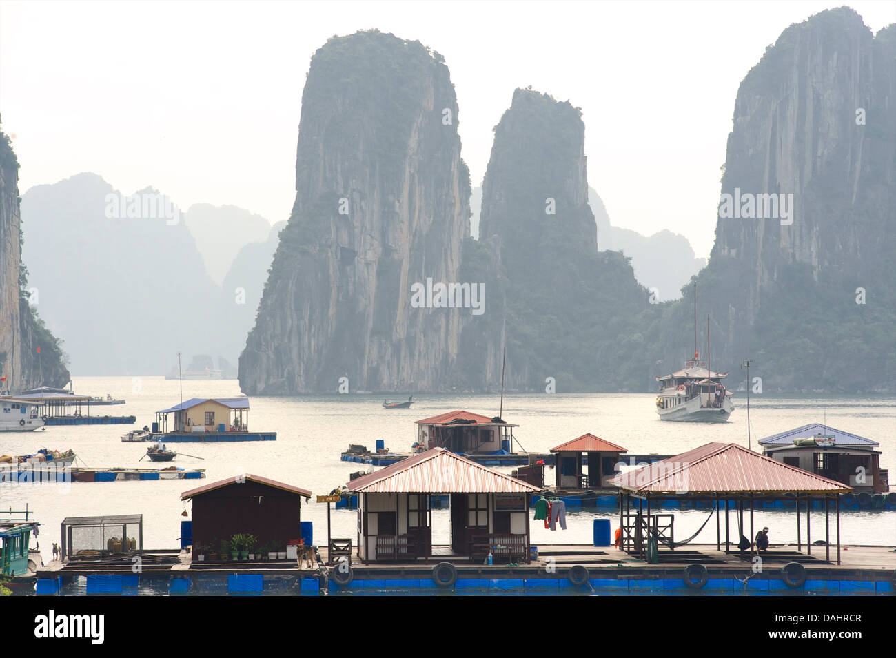 Floating villages amongst the Karst topography of Halong Bay, Vietnam Stock Photo