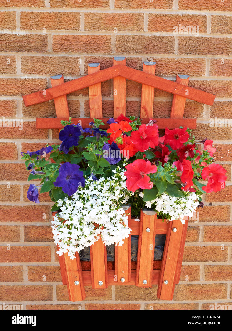 Wall flower plants hires stock photography and images Alamy