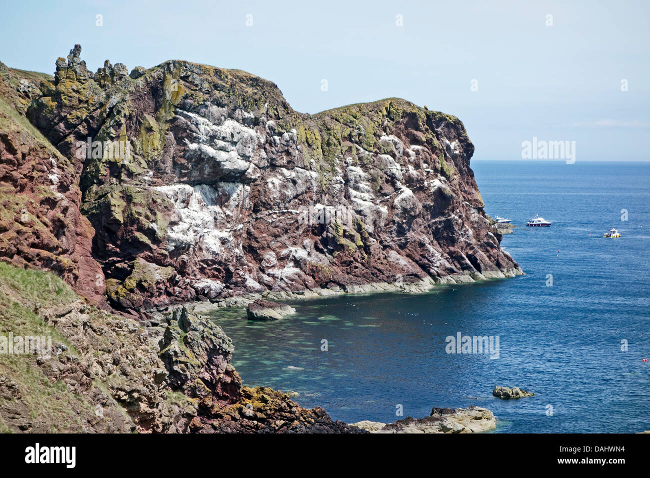 Sea cliffs in St Abb's Head National Nature Reserve between the lighthouse (north) & St. Abbs (south) in Scottish Borders Stock Photo