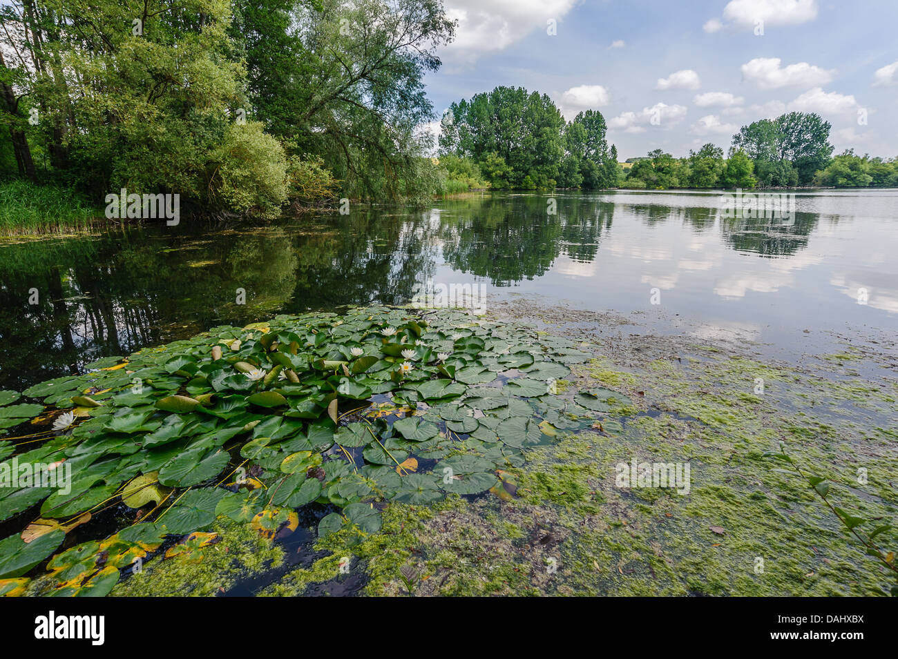 Landscape view of Langford Lakes Wiltshire Stock Photo Alamy