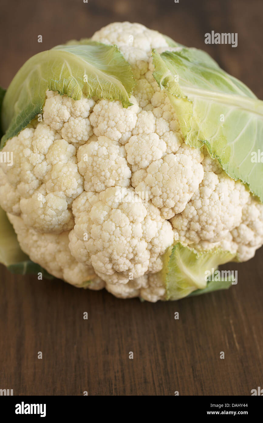 Freshly picked cauliflower head Stock Photo