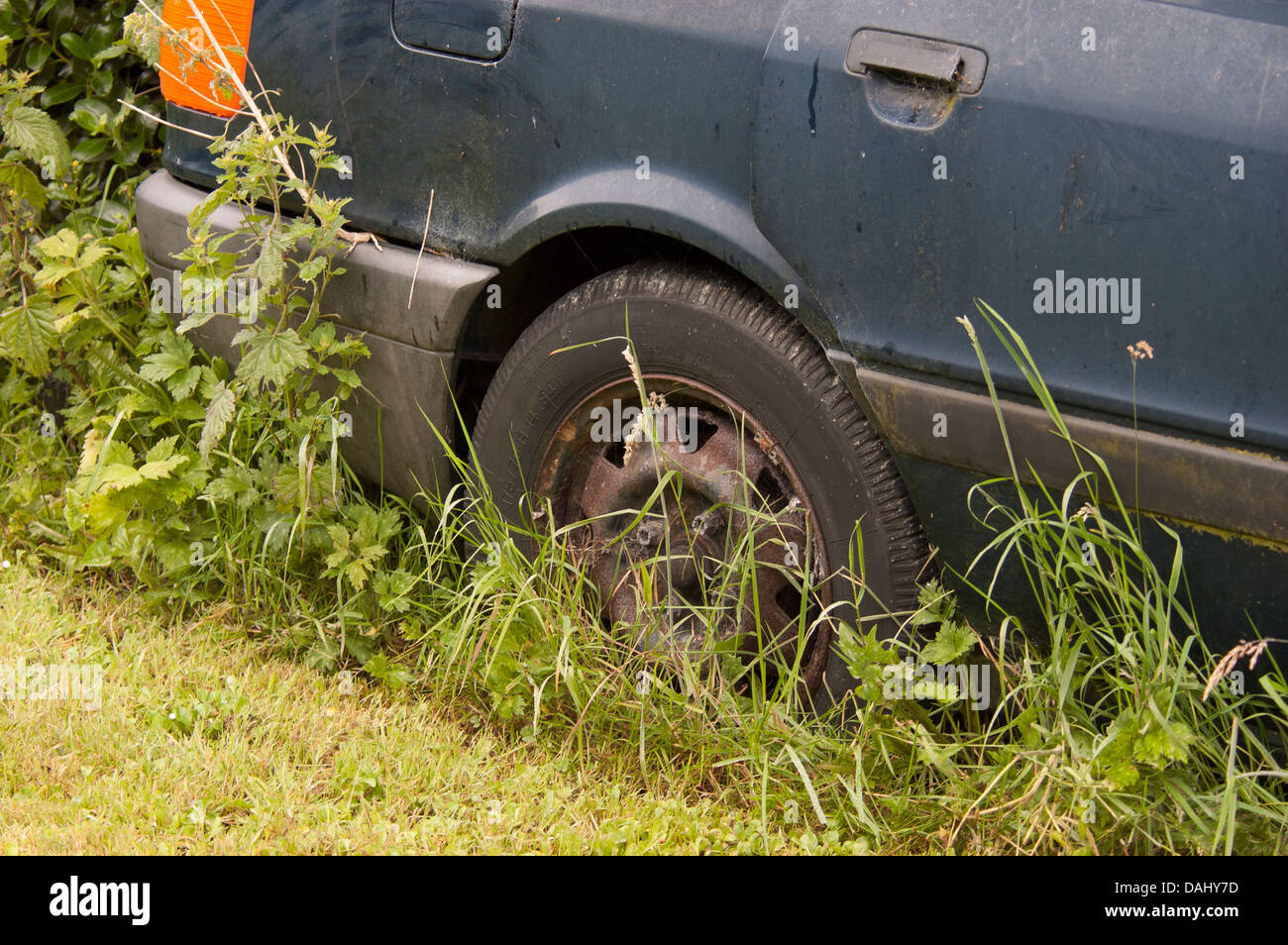 Car overgrown by weeds hi-res stock photography and images - Alamy