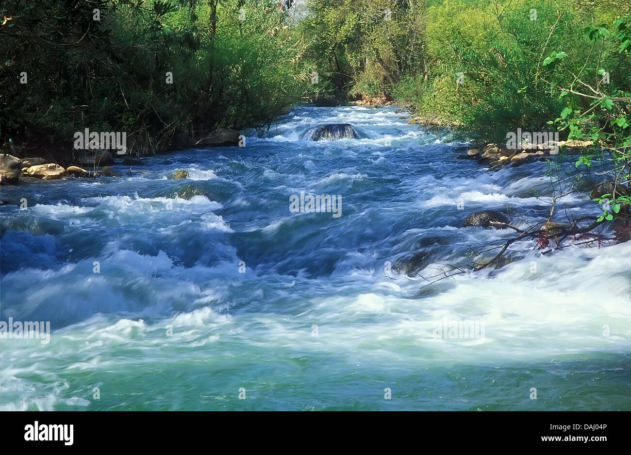 Banias river in Northern Israel Stock Photo