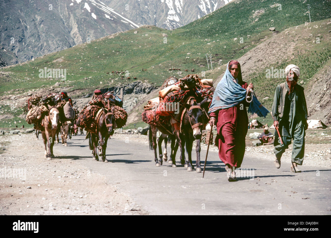 Kashmiri nomads from the Bakarwhal tribe moving their flocks to high altitude summer pastures. Sonamarg, Kashmir. India Stock Photo