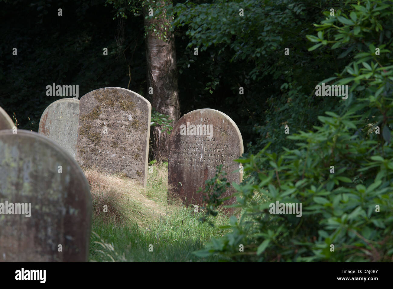 Gravestones, Woodbury Park cemetery , Tunbridge Wells, Kent, UK Stock