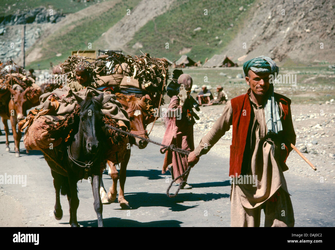 Kashmiri nomads, Bakarwhal people moving their flocks to high altitude summer pastures. Sonamarg, Kasmir. India Stock Photo
