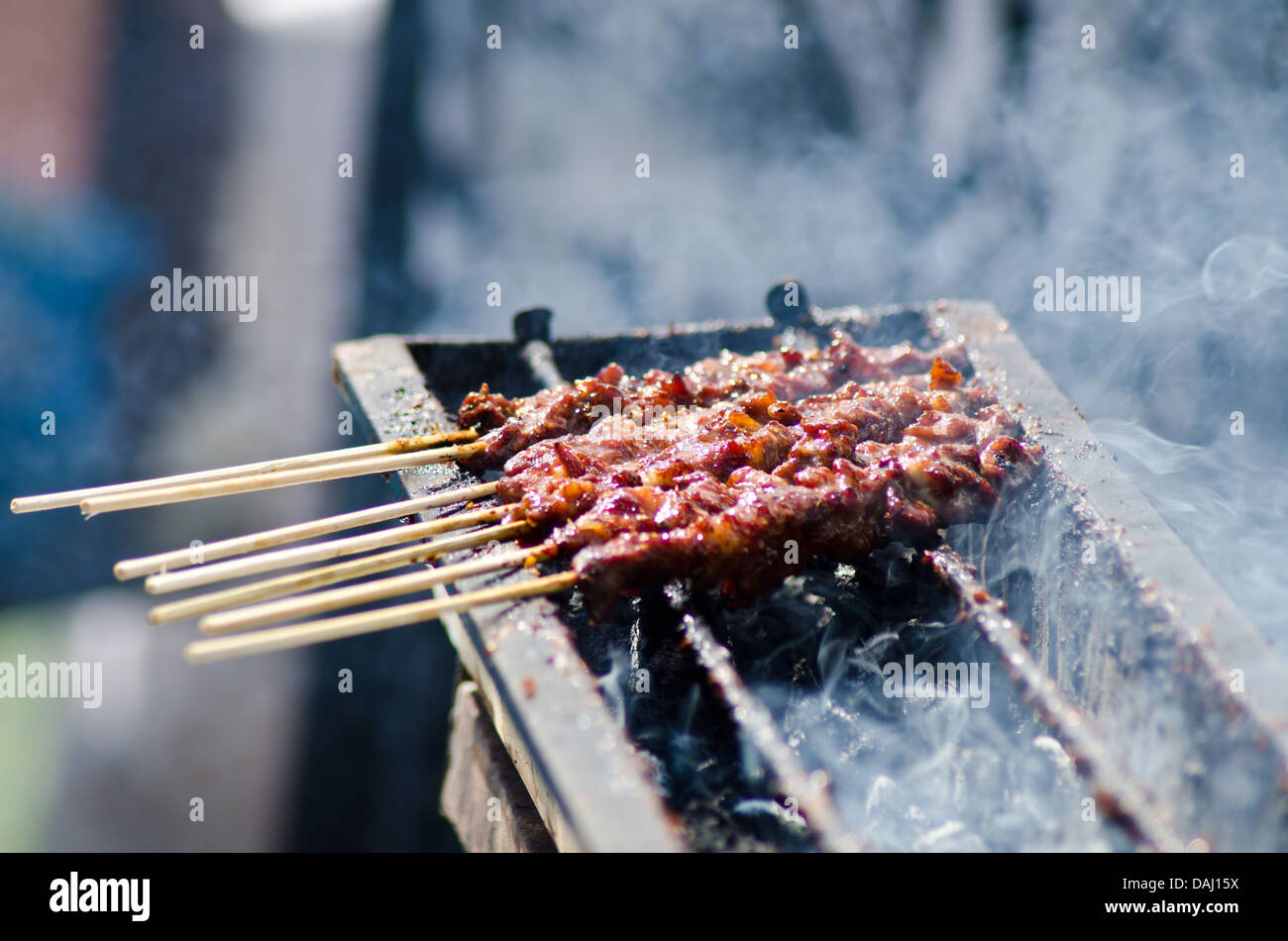 Barbeque Chicken Kebab Stock Photo