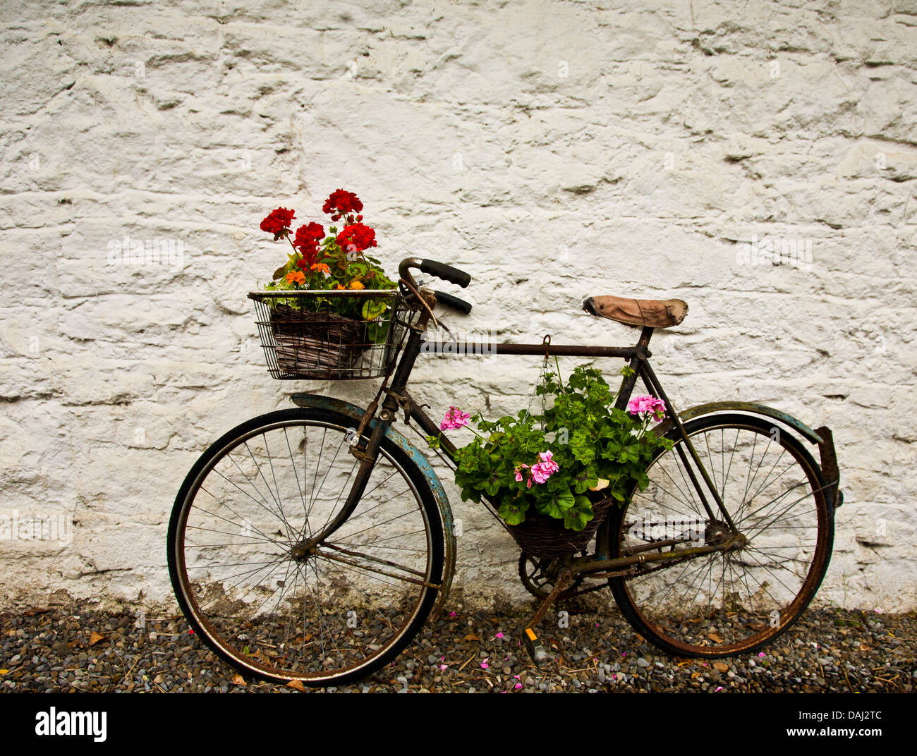 vintage bicycle with flowers