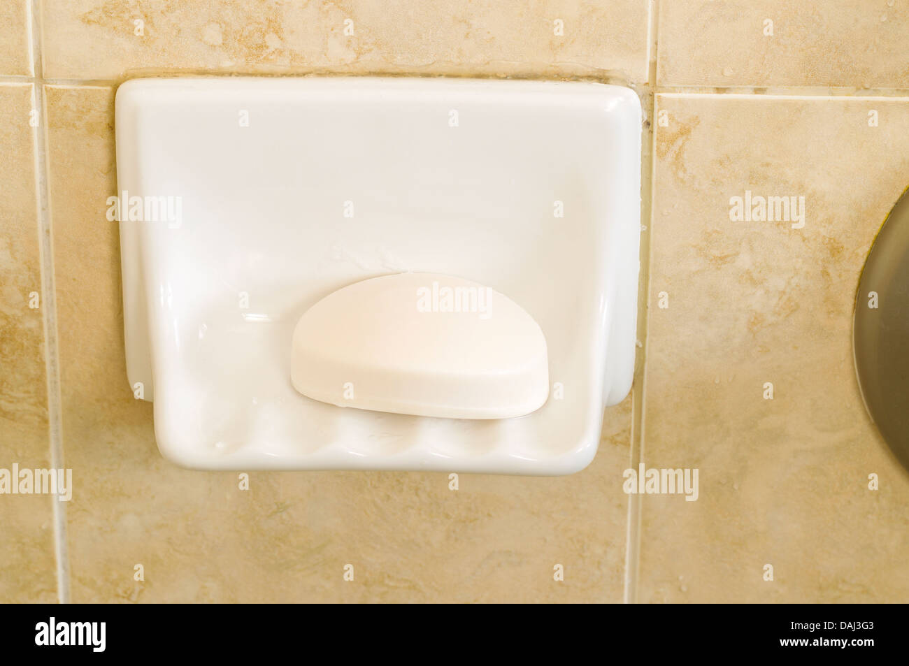 Horizontal photo of a white soap in shower stall dish with tiles in background Stock Photo